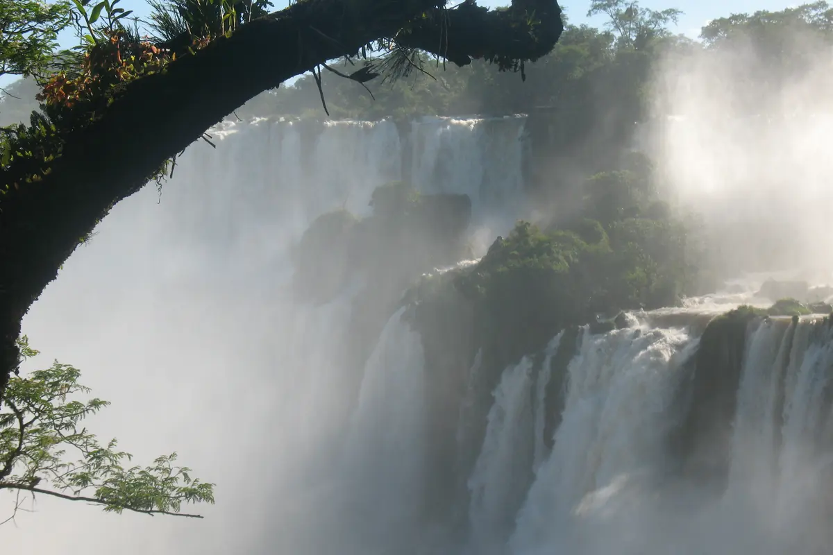 Vodopády Iguazú viděné skrz vodní tříšť a větve stromů, s proudy bílé vody přes zelenou skalní stěnu